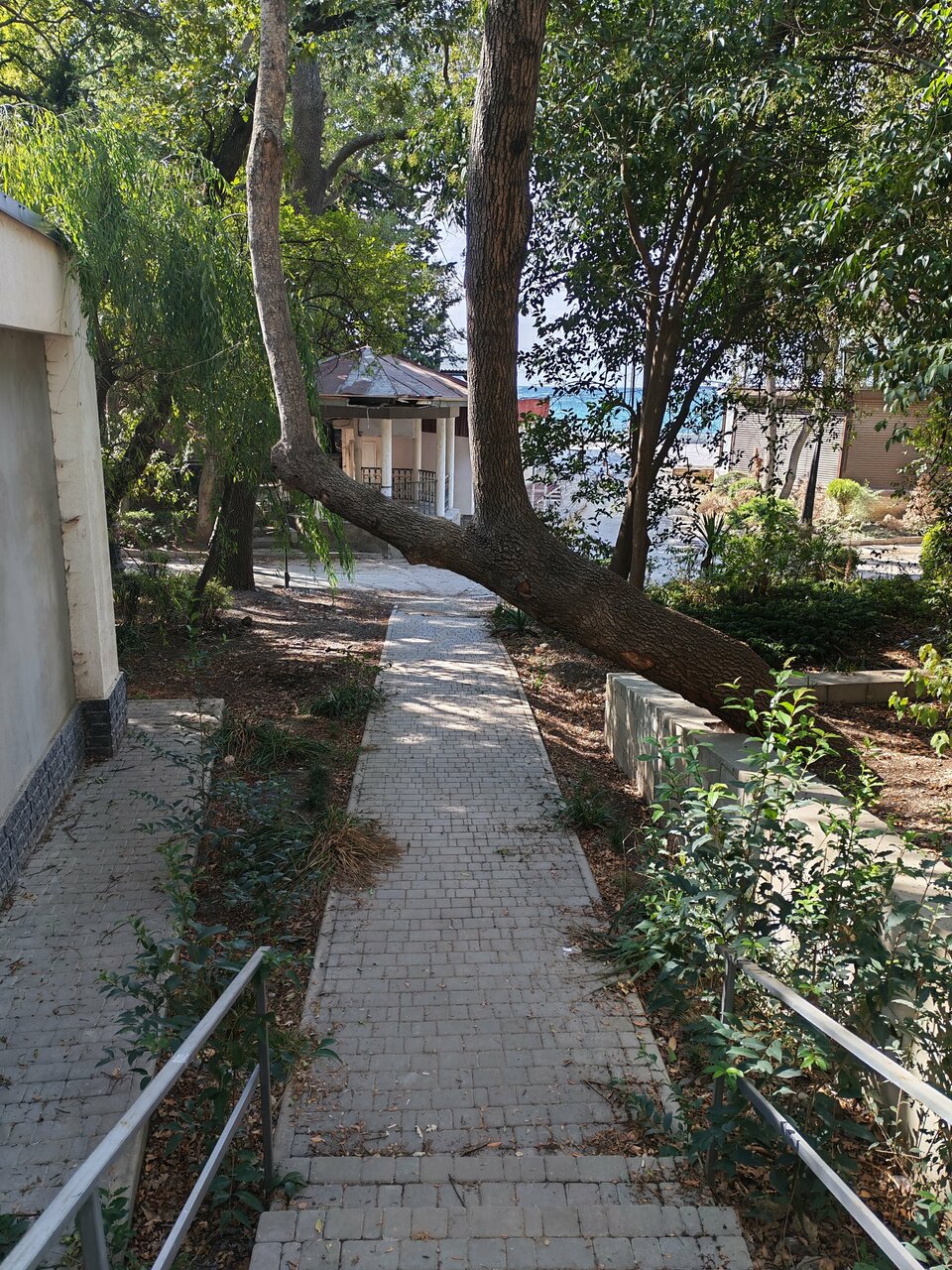 Гостиница Ripario Apart Отрадное-106