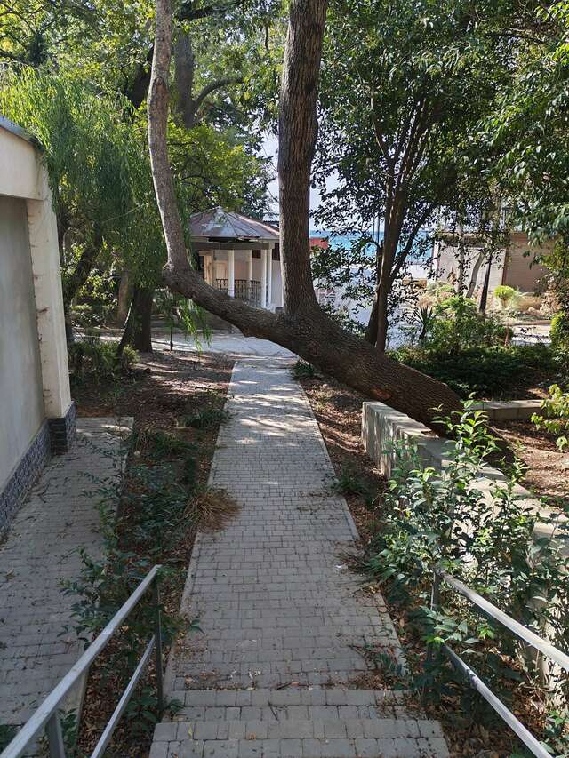 Гостиница Ripario Apart Отрадное-105